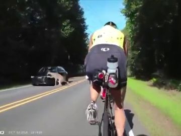 Unos ciclistas graban el momento en el que un coche atropella a un ciervo en Carolina del Norte Unos ciclistas graban el momento en el que un coche atropella a un ciervo en Carolina del Norte