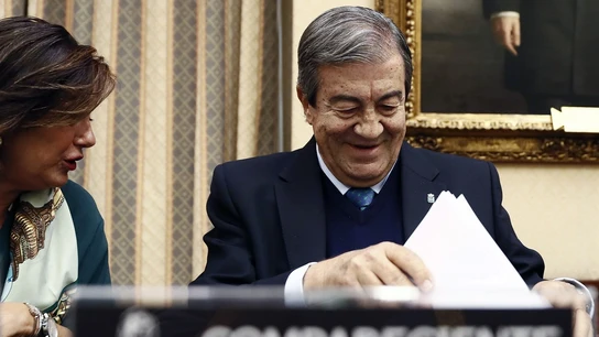 Francisco Álvarez Cascos Francisco Álvarez Cascos durante la comisión de investigación en el Congreso por la financiación ilegal del PP