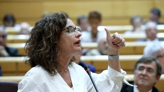 La ministra de Hacienda, María Jesús Montero, durante su intervención en la sesión de control al Gobierno en el Pleno del Senado La ministra de Hacienda, María Jesús Montero, durante su intervención en la sesión de control al Gobierno en el Pleno del Senado