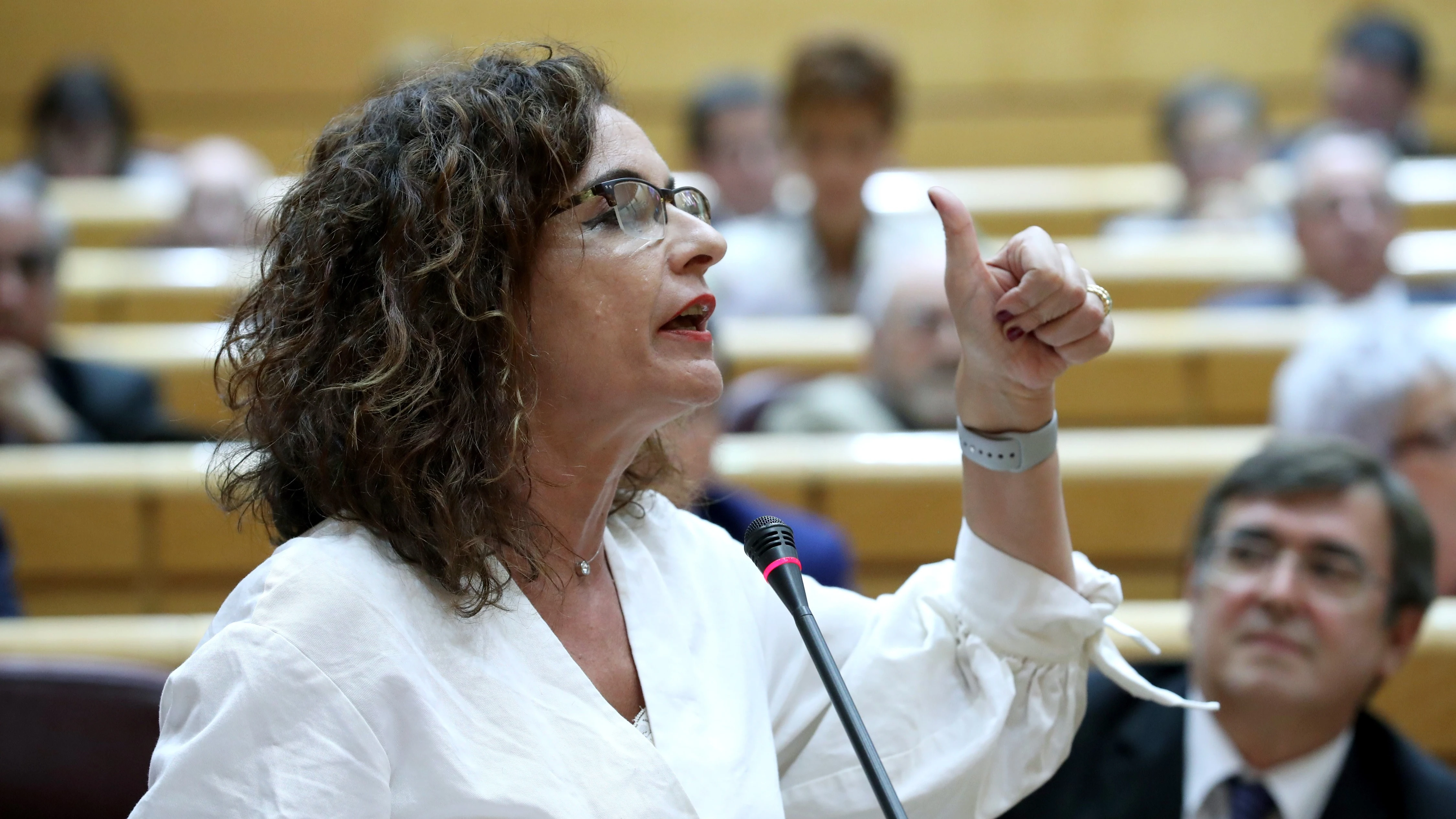 La ministra de Hacienda, María Jesús Montero, durante su intervención en la sesión de control al Gobierno en el Pleno del Senado