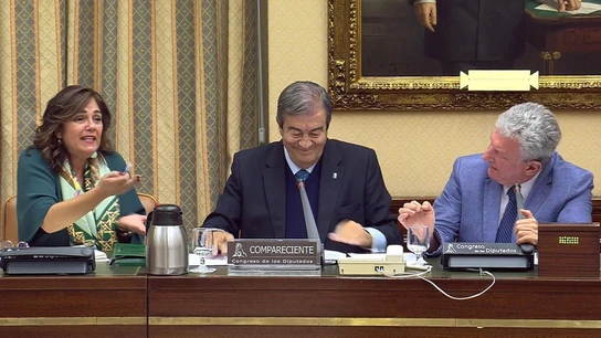 El exsecretario general del PP Francisco Álvarez Cascos, durante su comparecencia ante la Comisión de Investigación El exsecretario general del PP Francisco Álvarez Cascos, durante su comparecencia ante la Comisión de Investigación