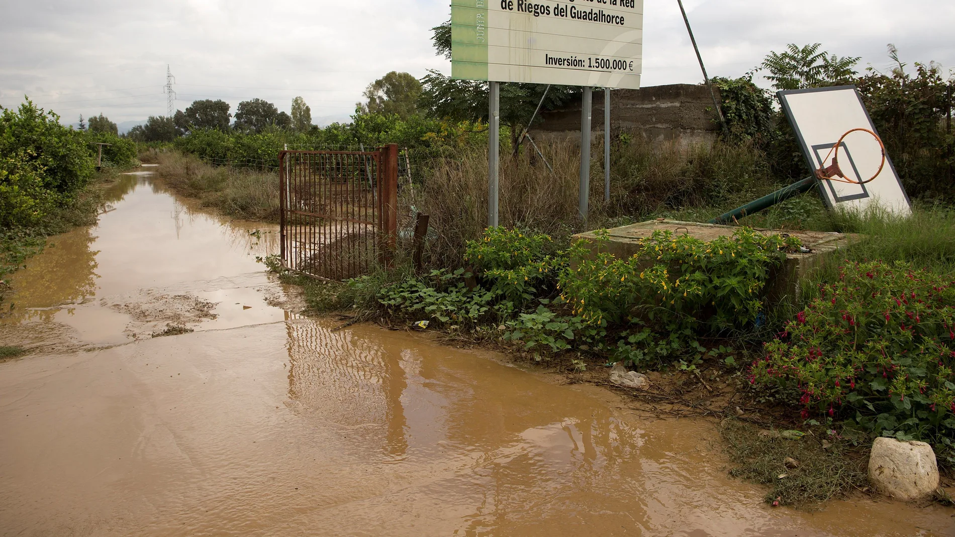  Vista de un campo de cultivo anegado en la barriada Doña Ana de la localidad malagueña de Cártama, tras las lluvias torrenciales