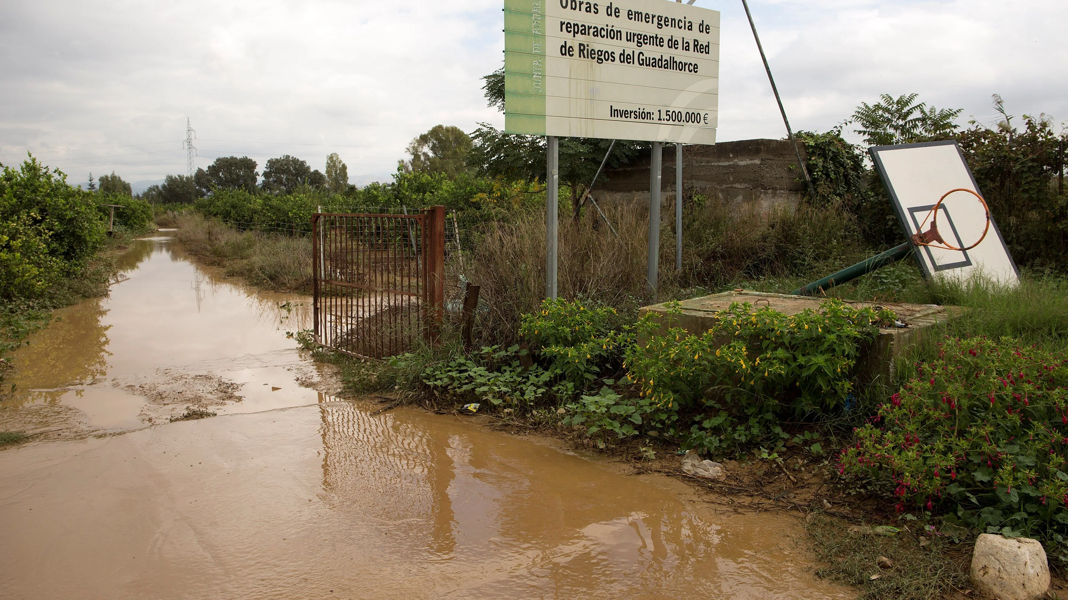  Vista de un campo de cultivo anegado en la barriada Doña Ana de la localidad malagueña de Cártama, tras las lluvias torrenciales