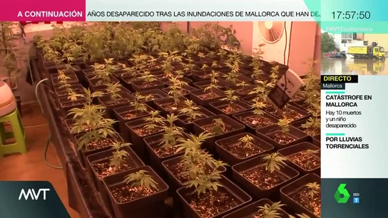 Ajuste de cuentas, guerra de poder y pasión: así fue el crimen que acabó con la vida del 'Gordo' Ajuste de cuentas, guerra de poder y pasión: así fue el crimen que acabó con la vida del 'Gordo'