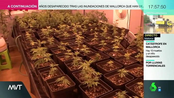 Ajuste de cuentas, guerra de poder y pasión: así fue el crimen que acabó con la vida del 'Gordo'