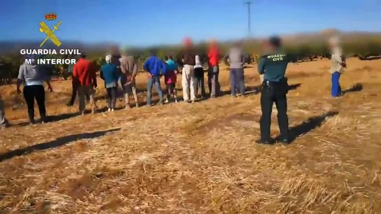 La Guardia Civil ha desmantelado una trama de explotación laboral en la Rioja Baja La Guardia Civil ha desmantelado una trama de explotación laboral en la Rioja Baja