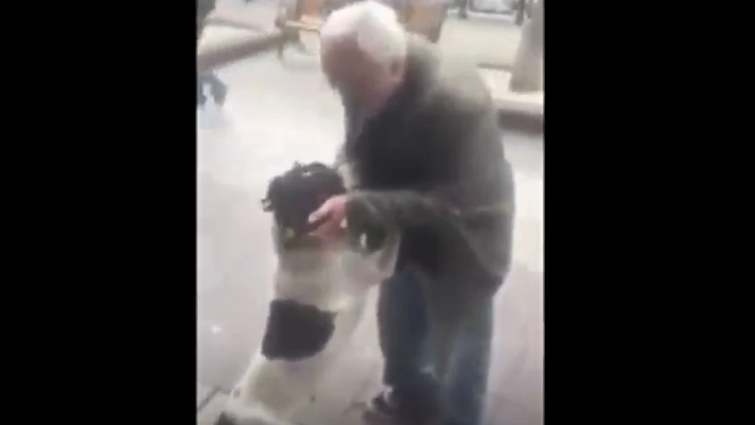 El emotivo reencuentro de un perro con su dueño tras pasar tres años perdido
