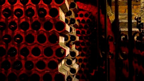 La aventura del vino en la Ribera del Duero 