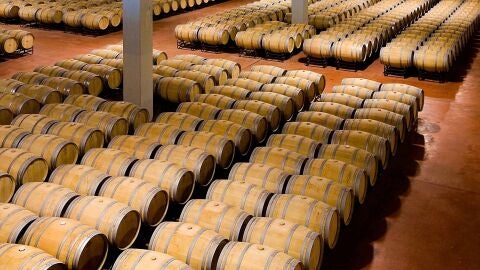 La aventura del vino en la Ribera del Duero 