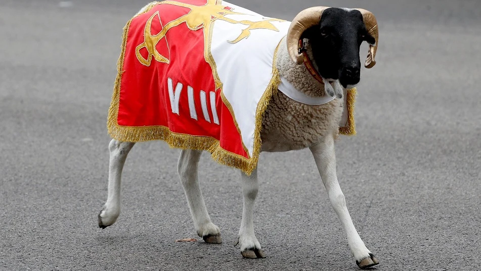 Imagen de 'Palito', la cabra de la Legión