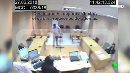 Cinco abogadas presentan una queja que llamó "bicho" a una mujer víctima de la violencia de género Cinco abogadas presentan una queja que llamó "bicho" a una mujer víctima de la violencia de género