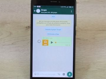 Audio en Whatsapp Audio en Whatsapp