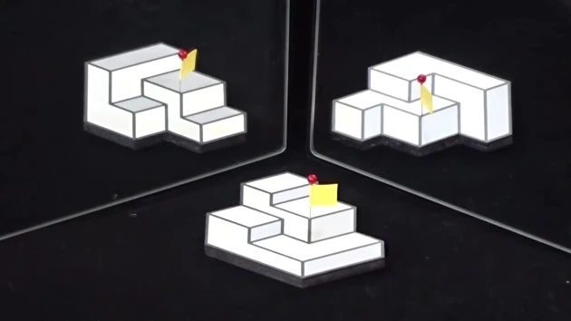 La ilusión óptica ganadora del concurso La ilusión óptica ganadora del concurso