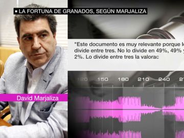 El arrepentido de la trama Púnica, David Marjaliza