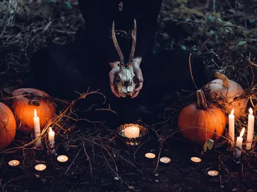 Halloween Halloween