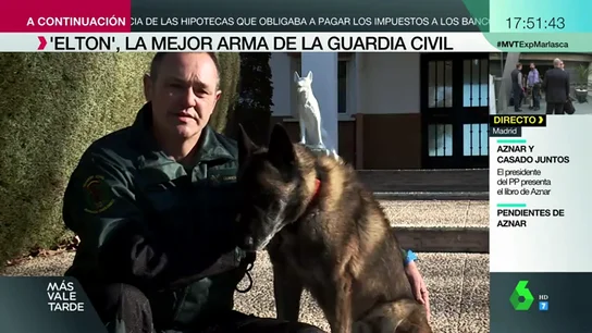 Ha participado en la búsqueda de Diana Quer, Marta del Castillo o Gabriel Cruz: así es Elton, el mejor perro de la Guardia Civil Ha participado en la búsqueda de Diana Quer, Marta del Castillo o Gabriel Cruz: así es Elton, el mejor perro de la Guardia Civil