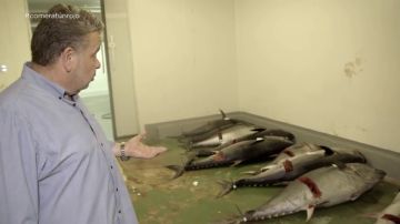 "La higiene es de vergüenza": Alberto Chicote se cuela en la nave ilegal de uno de los principales distribuidores de atún rojo del país