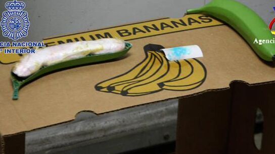 Imagen de coca&iacute;na intervenida oculta en bananas