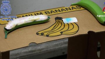 Imagen de cocaína intervenida oculta en bananas