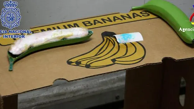 Imagen de cocaína intervenida oculta en bananas