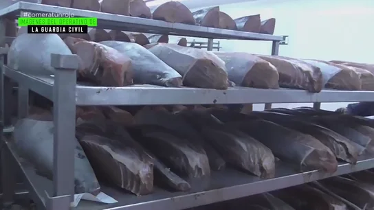 "El 50% de lo que distribuye es ilegal": la cruda realidad que rodea a uno de los mayores productores ‘legales’ de atún rojo a nivel mundial "El 50% de lo que distribuye es ilegal": la cruda realidad que rodea a uno de los mayores productores ‘legales’ de atún rojo a nivel mundial