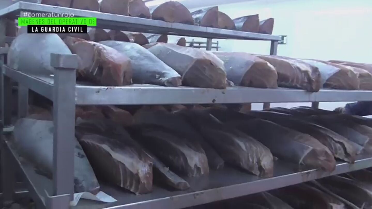 "El 50% de lo que distribuye es ilegal": la cruda realidad que rodea a uno de los mayores productores &lsquo;legales&rsquo; de at&uacute;n rojo a nivel mundial