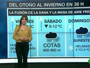 del otoño al invierno del otoño al invierno