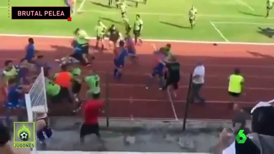 pelea_rugby pelea_rugby