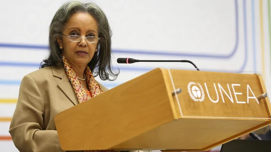 La embajadora Sahlework Zewde, nombrada presidenta de Etiopía La embajadora Sahlework Zewde, nombrada presidenta de Etiopía