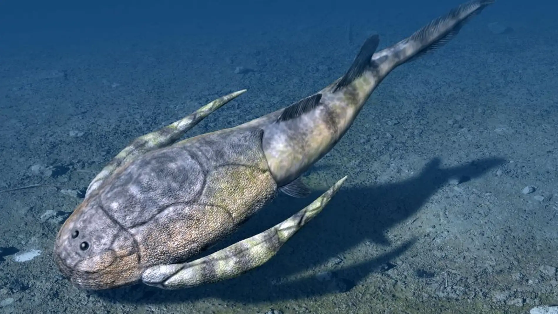 Los primeros peces se originaron en aguas marinas cerca de la costa