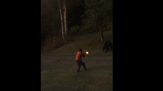 Un hombre dispara a un oso en su jardín Un hombre dispara a un oso en su jardín