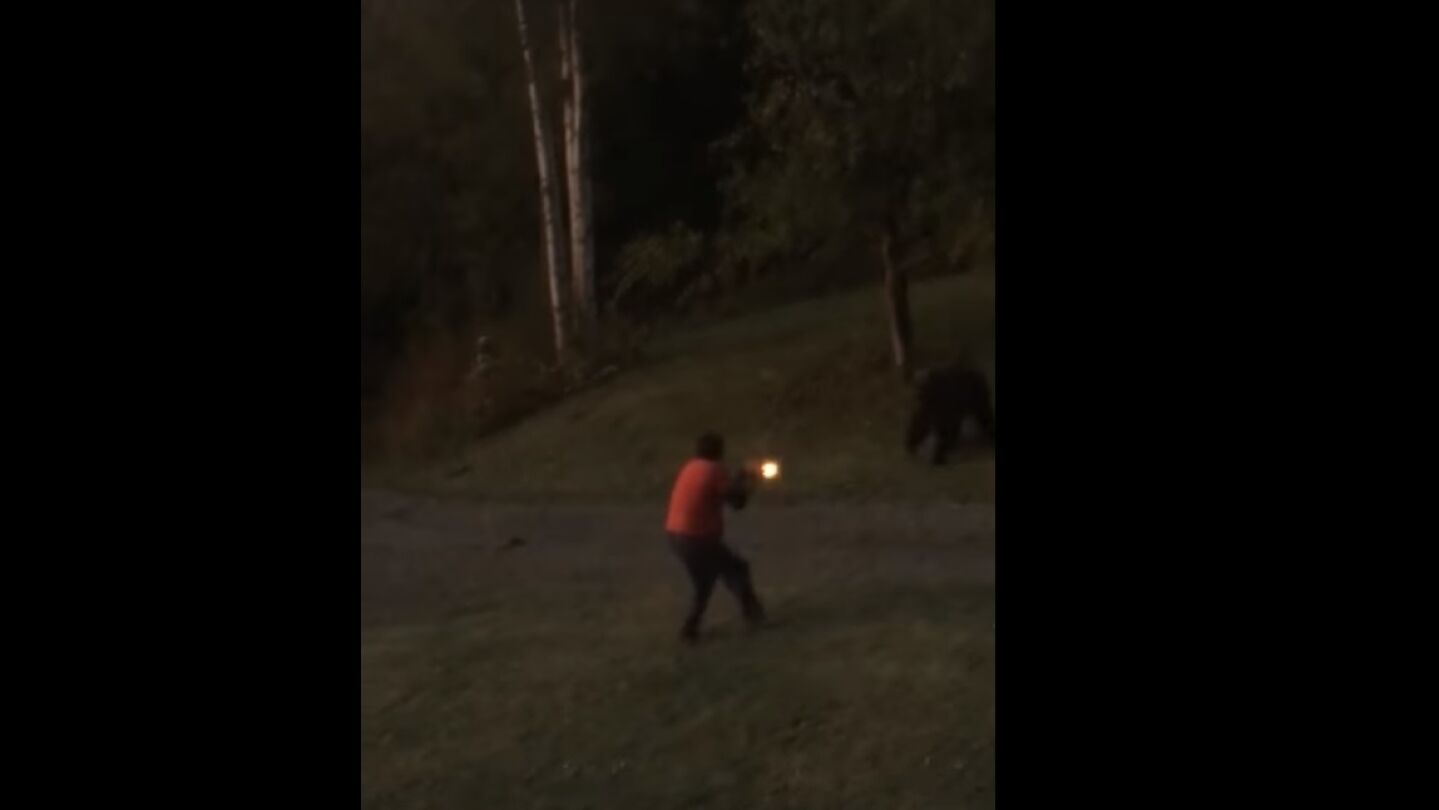 Un hombre dispara a un oso en su jard&iacute;n