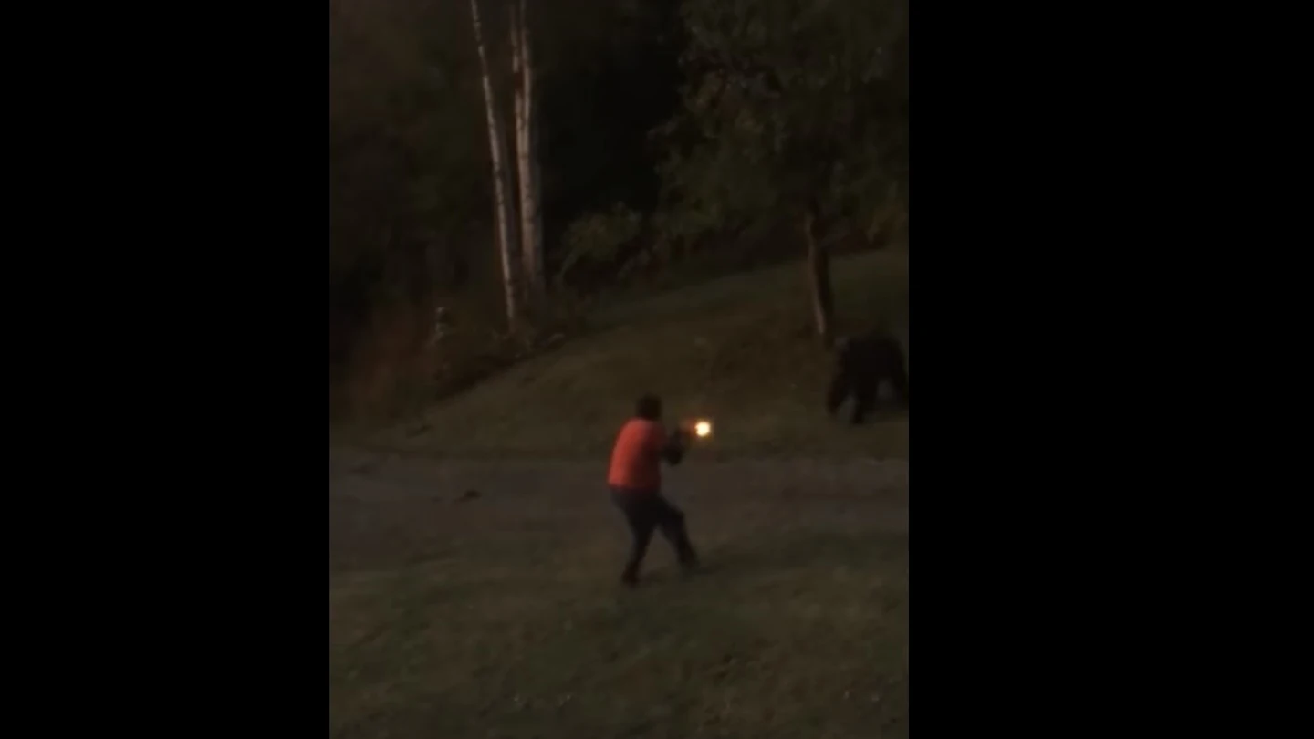 Un hombre dispara a un oso en su jardín Un hombre dispara a un oso en su jardín