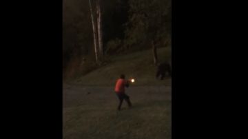 Un hombre dispara a un oso en su jardín