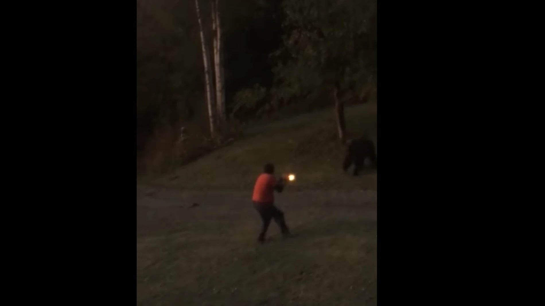 Un hombre dispara a un oso en su jardín