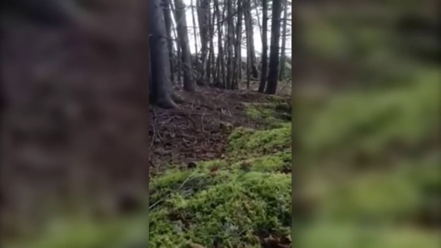 Esta es la explicaci&oacute;n cient&iacute;fica al peculiar fen&oacute;meno del bosque que 'respira'