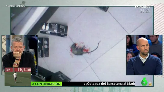 Rata muerta en la residencia de Babilafuente Rata muerta en la residencia de Babilafuente