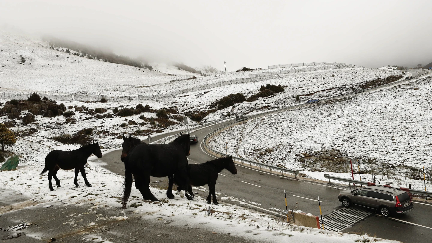 Temporal de nieve en Asturias Temporal de nieve en Asturias