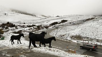 Temporal de nieve en Asturias