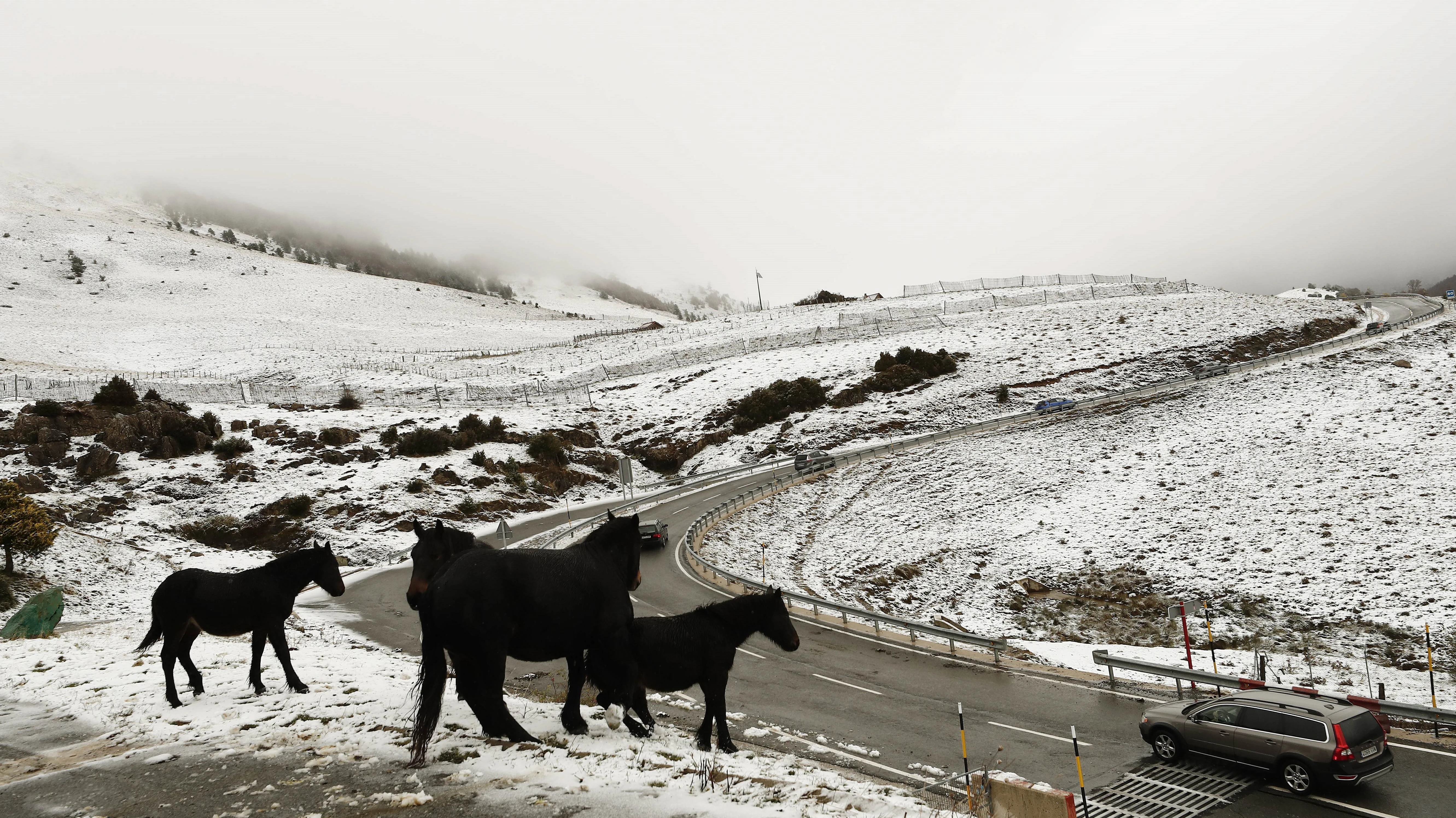 Temporal de nieve en Asturias