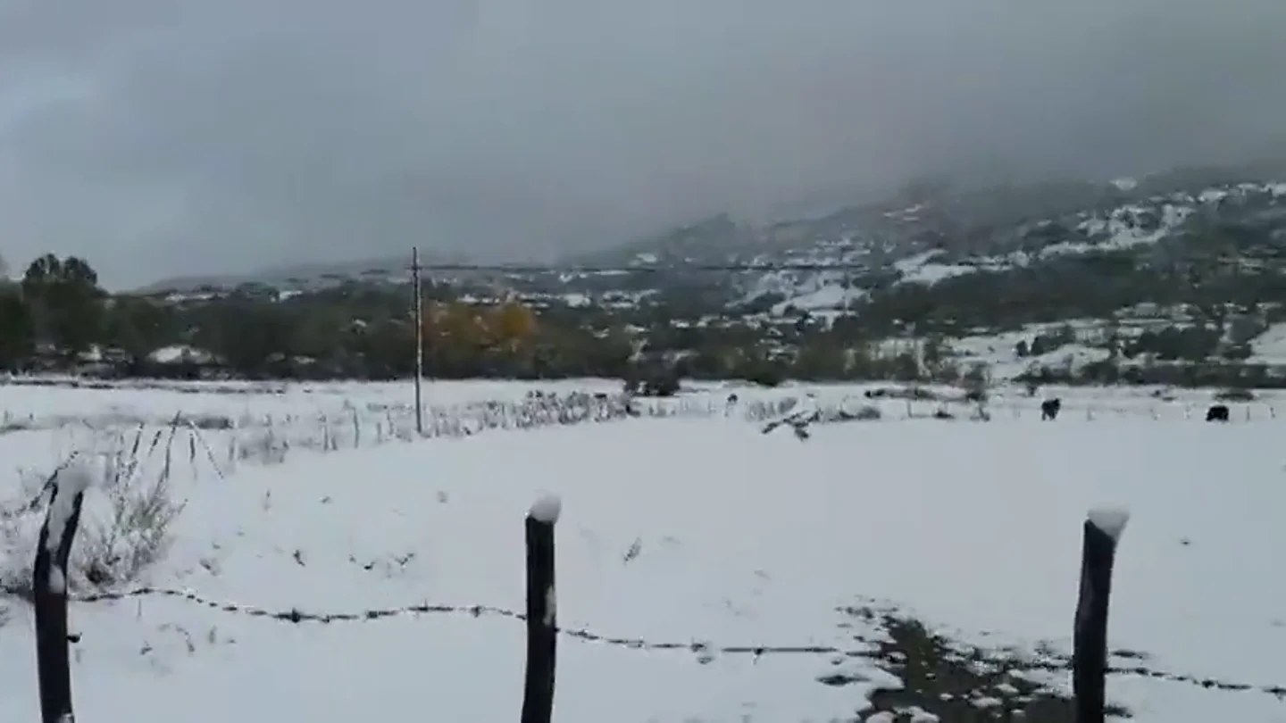 La nieve baja hasta los 600 metros de altitud y deja complicaciones en las carreteras de Cantabria La nieve baja hasta los 600 metros de altitud y deja complicaciones en las carreteras de Cantabria