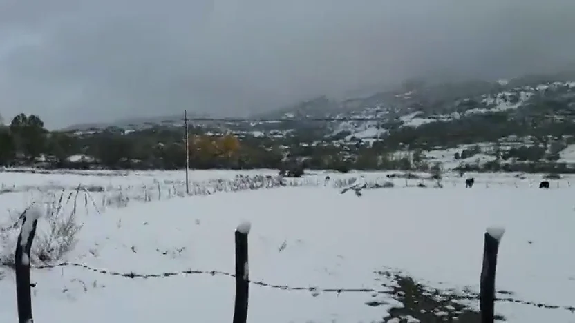 La nieve baja hasta los 600 metros de altitud y deja complicaciones en las carreteras de Cantabria