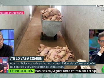 Cerdos muertos de Rafael de la Torre Cerdos muertos de Rafael de la Torre