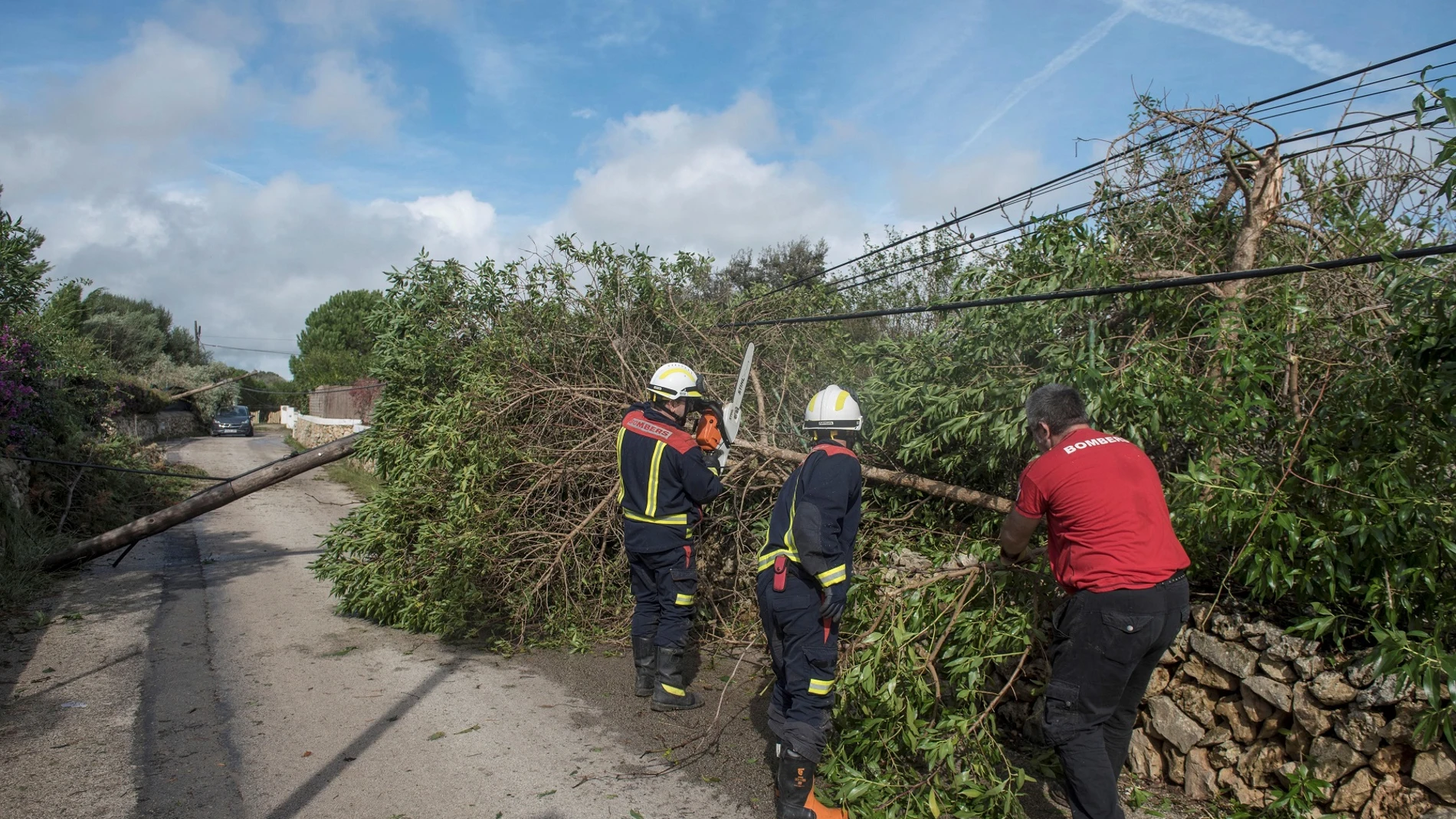 Efectivos del cuerpo de bomberos retiran un árbol caído en la zona de la urbanización La Argentina