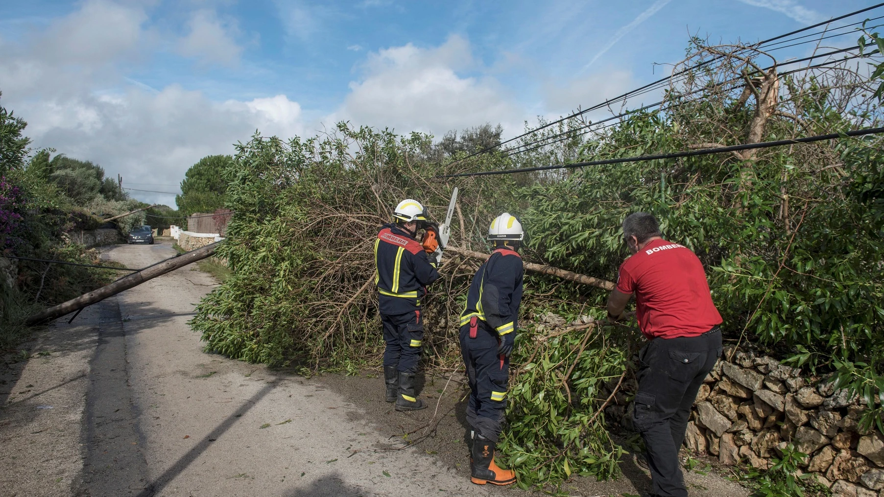 Efectivos del cuerpo de bomberos retiran un árbol caído en la zona de la urbanización La Argentina