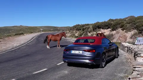 Audi S5 Cabrio Audi S5 Cabrio