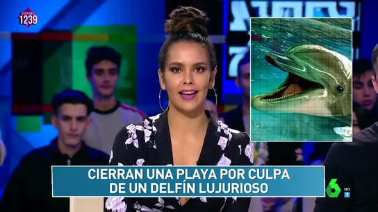 "Cierran una playa por culpa de un delfín lujurioso": el 'Zapcheck' de Cristina Pedroche pone a prueba a los zapeadores "Cierran una playa por culpa de un delfín lujurioso": el 'Zapcheck' de Cristina Pedroche pone a prueba a los zapeadores