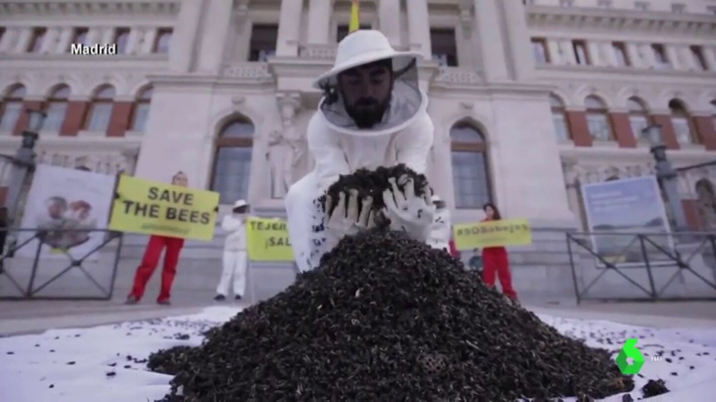 El 'colapso de las colmenas': as&iacute; afectan los pesticidas de la agricultura a las abejas 