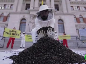 El 'colapso de las colmenas': así afectan los pesticidas de la agricultura a las abejas El 'colapso de las colmenas': así afectan los pesticidas de la agricultura a las abejas