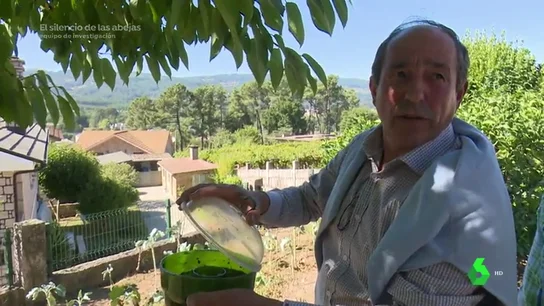 La incesante lucha de O Porriño contra la avispa asiática: invierte más de 7.000 euros en 500 trampas La incesante lucha de O Porriño contra la avispa asiática: invierte más de 7.000 euros en 500 trampas
